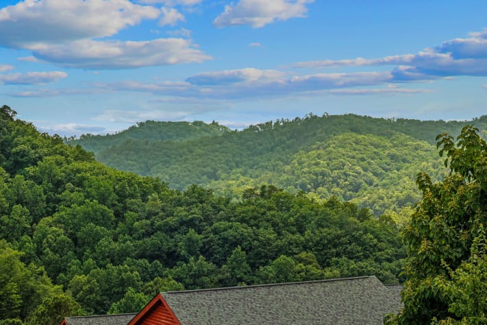 Pigeon Forge, Tennessee Cabin Rental - Gallery Image #24