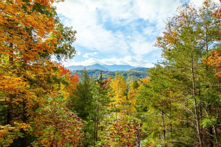 Gatlinburg, Tennessee Cabin Rental - Gallery Image #2