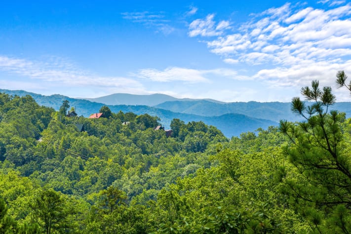 Pigeon Forge, Tennessee Cabin Rental - Gallery Image #2