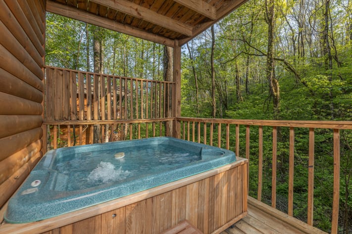 Pigeon Forge, Tennessee Cabin Rental - Gallery Image #2