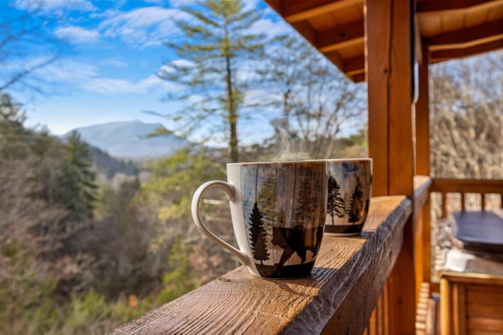 Pigeon Forge, Tennessee Cabin Rental - Gallery Image #19