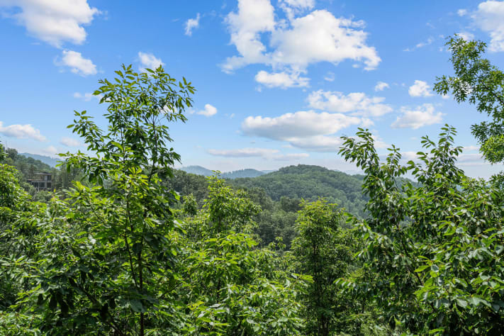 Pigeon Forge, Tennessee Cabin Rental - Gallery Image #17