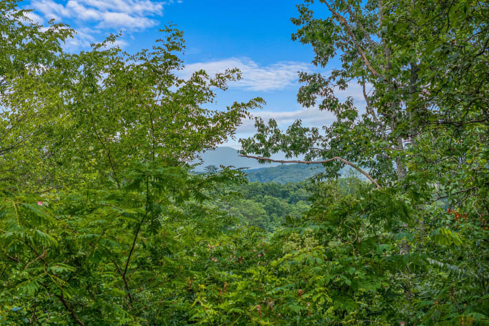 Pigeon Forge, Tennessee Cabin Rental - Gallery Image #14