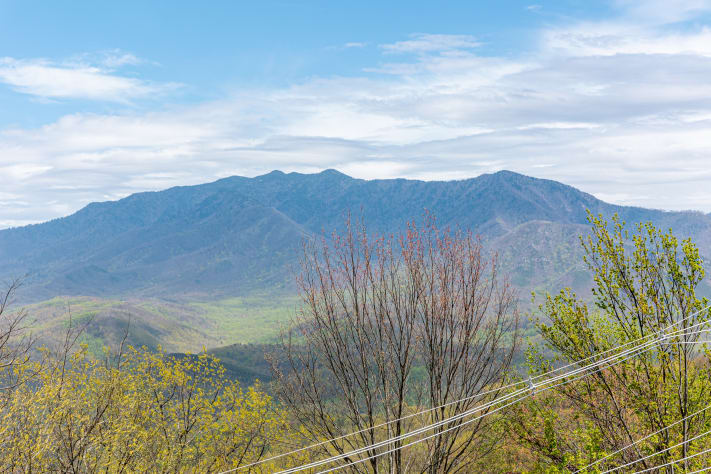 Gatlinburg, Tennessee Cabin Rental - Gallery Image #2
