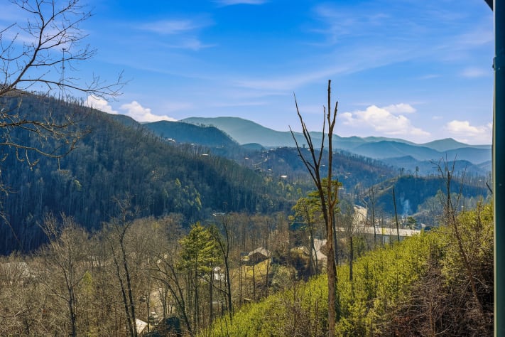 Gatlinburg, Tennessee Cabin Rental - Gallery Image #2