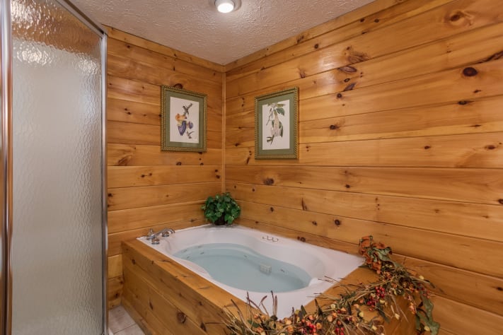 Gatlinburg, Tennessee Cabin Rental - Gallery Image #12
