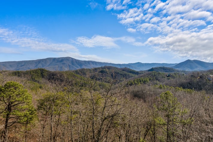 Pigeon Forge, Tennessee Lodge Rental - Gallery Image #11