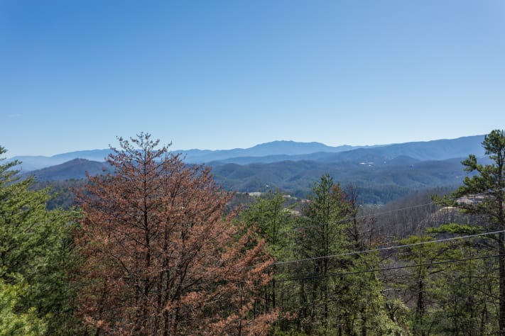 Pigeon Forge, Tennessee Cabin Rental - Gallery Image #24