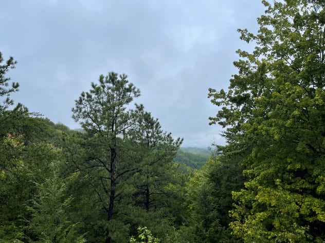 Gatlinburg, Tennessee Cabin Rental - Gallery Image #19