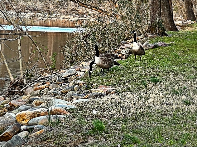 Just steps to the walkways along the Little Pigeon River Pigeon Forge, Tennessee Cabin Rental - Gallery Image #36