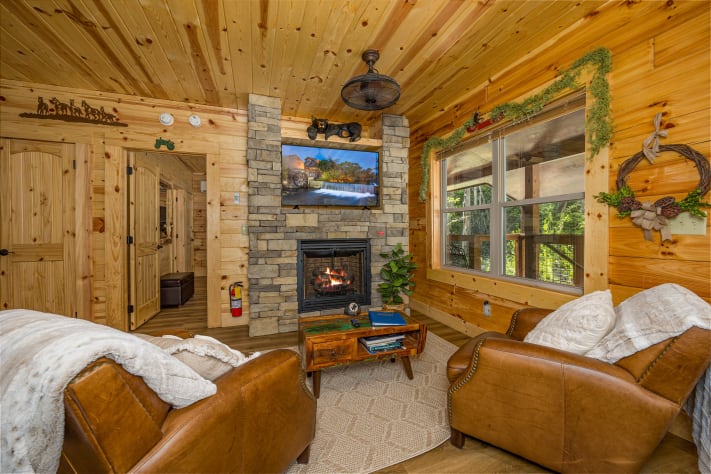 Cosby, Tennessee Cabin Rental - Gallery Image #4