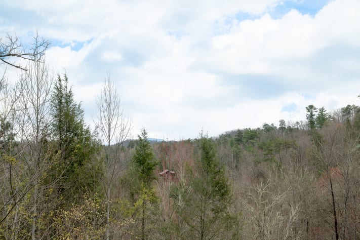 Gatlinburg, Tennessee Cabin Rental - Gallery Image #11