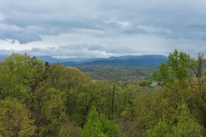 Pigeon Forge, Tennessee Cabin Rental - Gallery Image #3