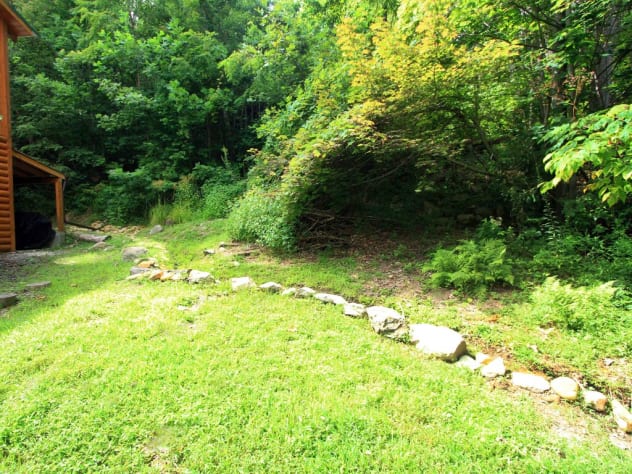 Yard for dog walking with natural mountain stream Gatlinburg, Tennessee Cabin Rental - Gallery Image #36