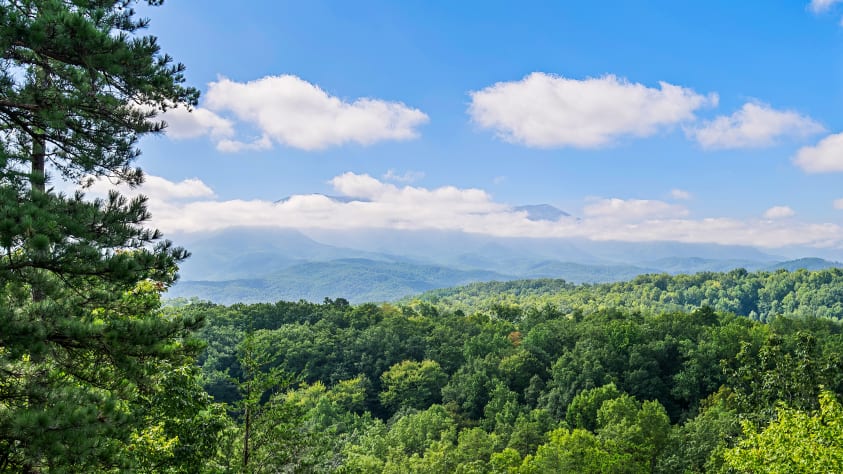 Pigeon Forge, Tennessee Cabin Rental - Gallery Image #2