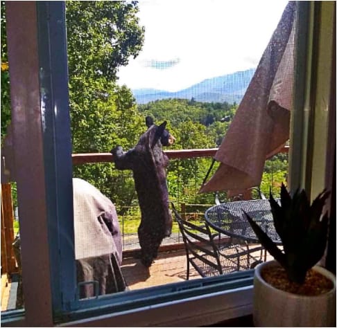 Gatlinburg, Tennessee Cabin Rental - Gallery Image #4