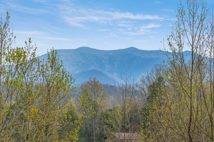 Gatlinburg, Tennessee Cabin Rental - Gallery Image #12