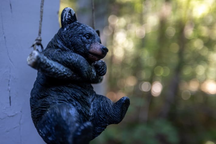 Gatlinburg, Tennessee Cabin Rental - Gallery Image #29