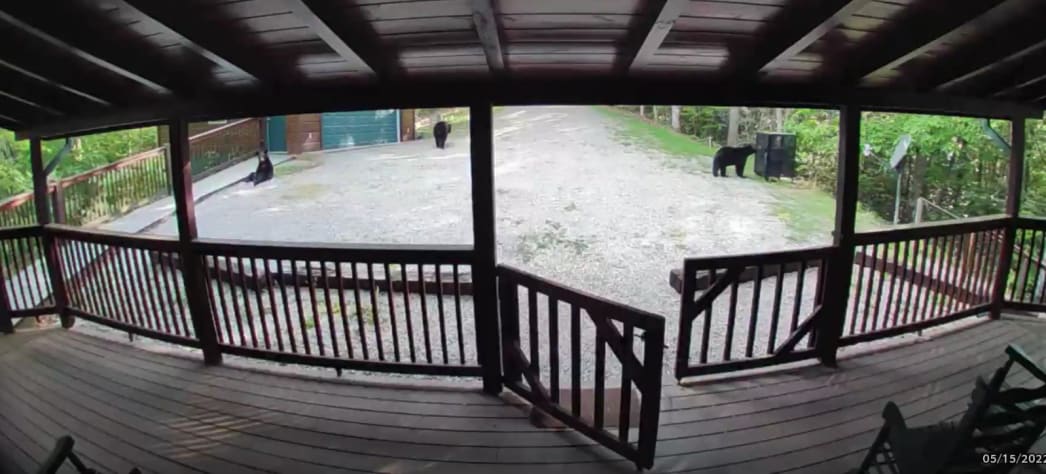 Sevierville, Tennessee Cabin Rental - Gallery Image #6