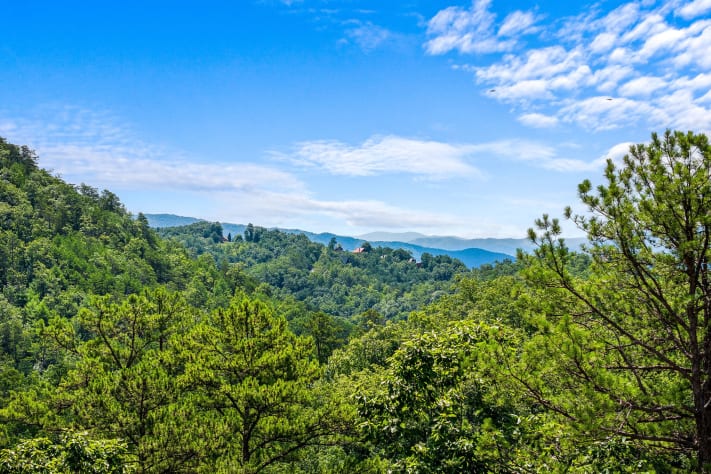 Pigeon Forge, Tennessee Cabin Rental - Gallery Image #24