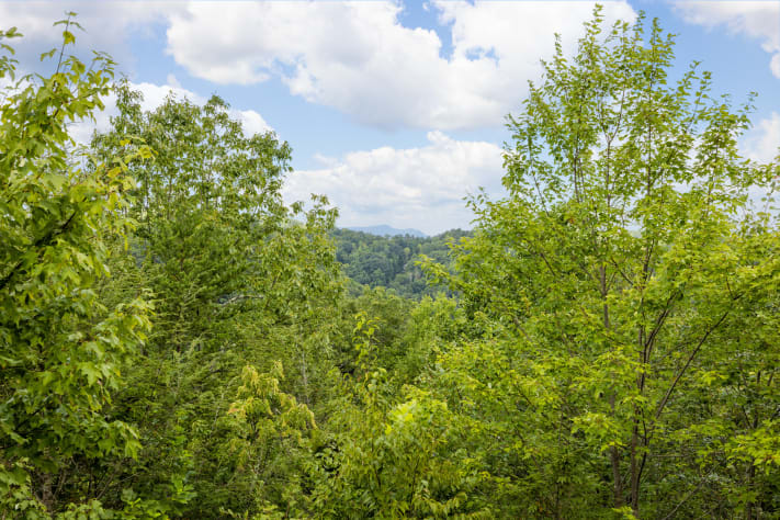Gatlinburg, Tennessee Cabin Rental - Gallery Image #21