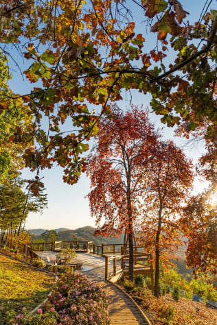 Photo #4 Pigeon Forge, Tennessee Cabin Rental - Gallery Image #4