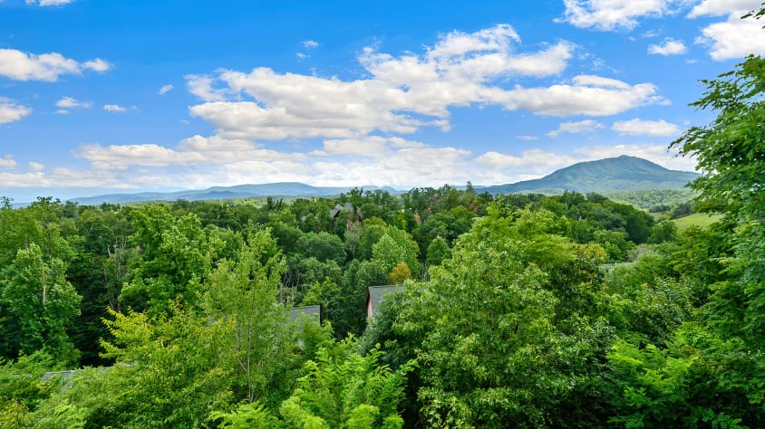 Pigeon Forge, Tennessee Cabin Rental - Gallery Image #24