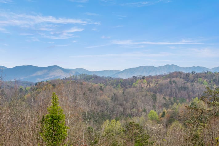 Gatlinburg, Tennessee Cabin Rental - Gallery Image #3
