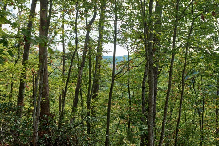 Gatlinburg, Tennessee Cabin Rental - Gallery Image #18