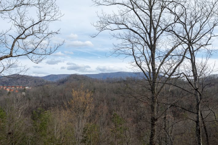 Pigeon Forge, Tennessee Cabin Rental - Gallery Image #14