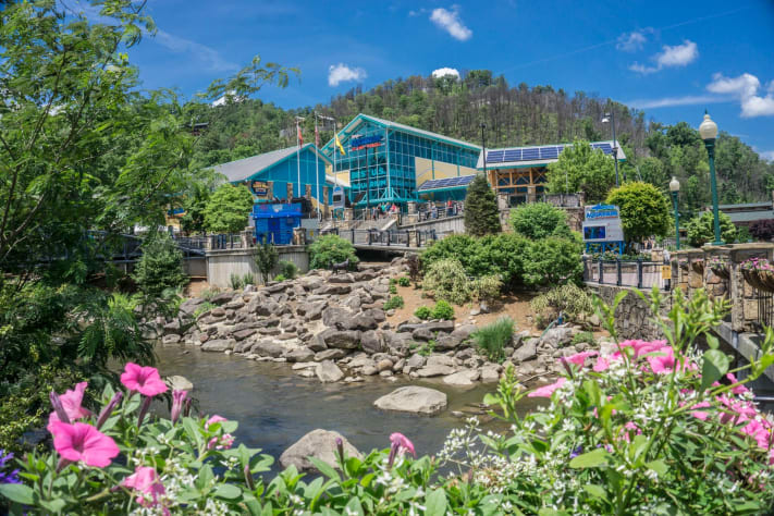 Pigeon Forge, Tennessee Cabin Rental - Gallery Image #19