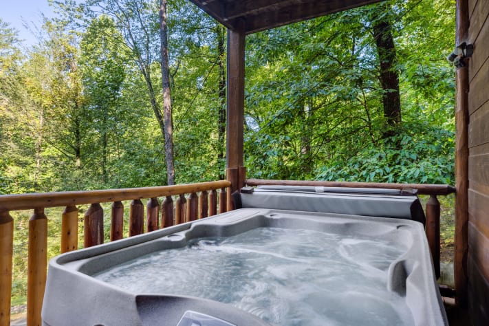 Gatlinburg, Tennessee Cabin Rental - Gallery Image #3