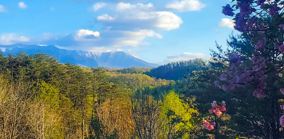 Gatlinburg, Tennessee Cabin Rental - Gallery Image #2