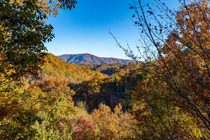 Pigeon Forge, Tennessee Cabin Rental - Gallery Image #3