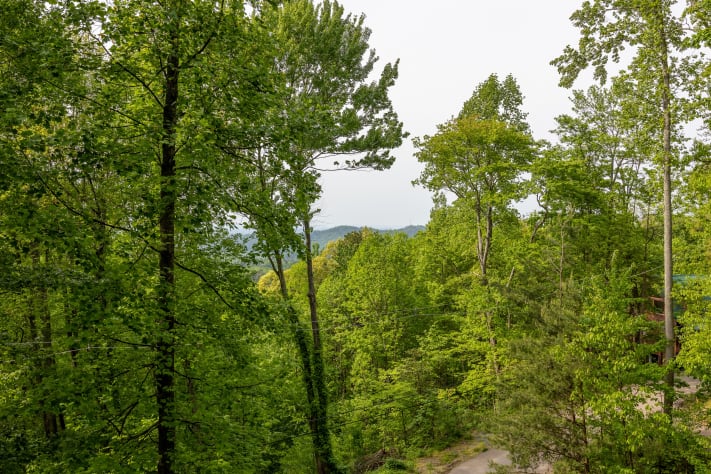 Gatlinburg, Tennessee Cabin Rental - Gallery Image #15