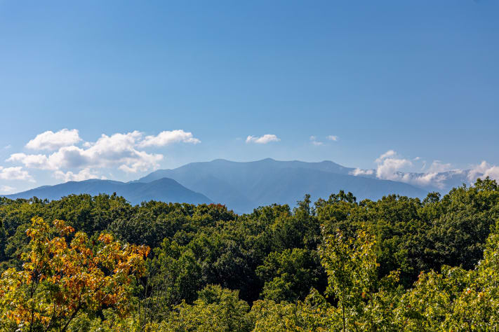 Gatlinburg, Tennessee Cabin Rental - Gallery Image #4