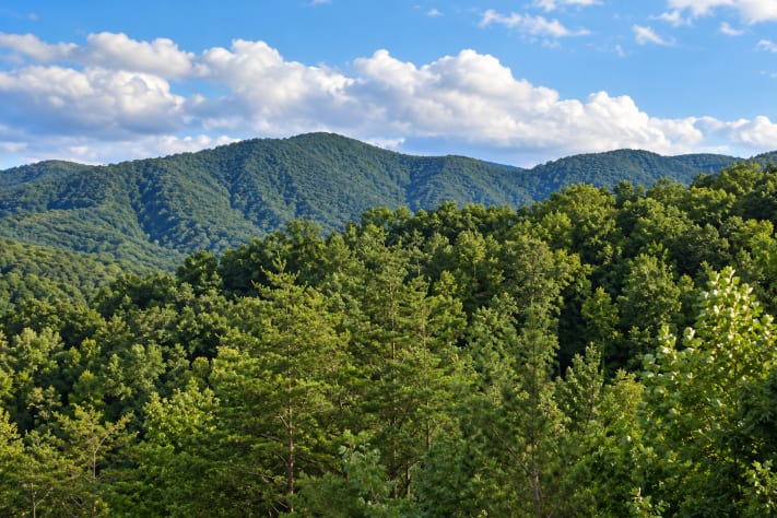 The view from Stay Wild opens to layers of Smoky Mountain ridgelines and forested… Sevierville, Tennessee Cabin Rental - Gallery Image #32