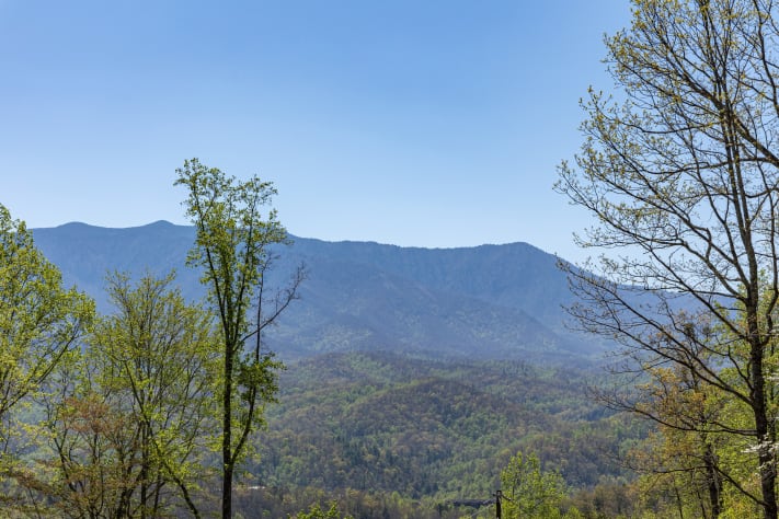 Gatlinburg, Tennessee Cabin Rental - Gallery Image #17