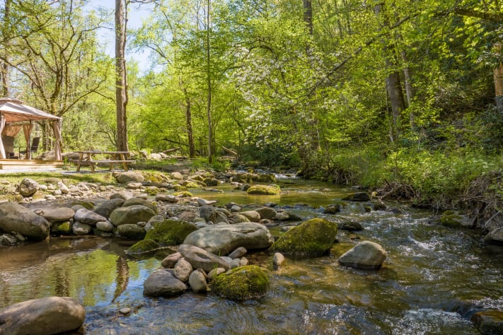Cosby, Tennessee Cabin Rental - Gallery Image #18