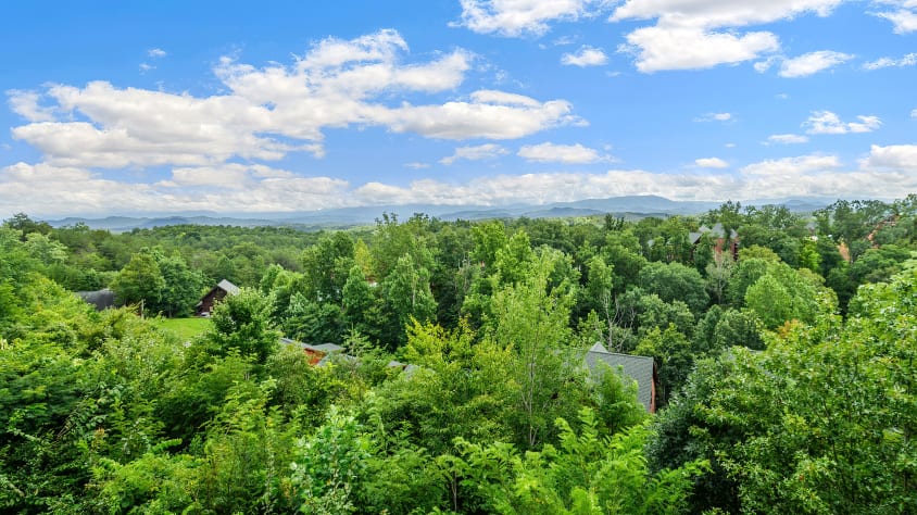 Pigeon Forge, Tennessee Cabin Rental - Gallery Image #2
