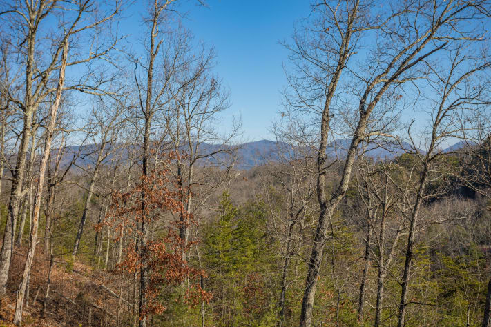 Pigeon Forge, Tennessee Cabin Rental - Gallery Image #14