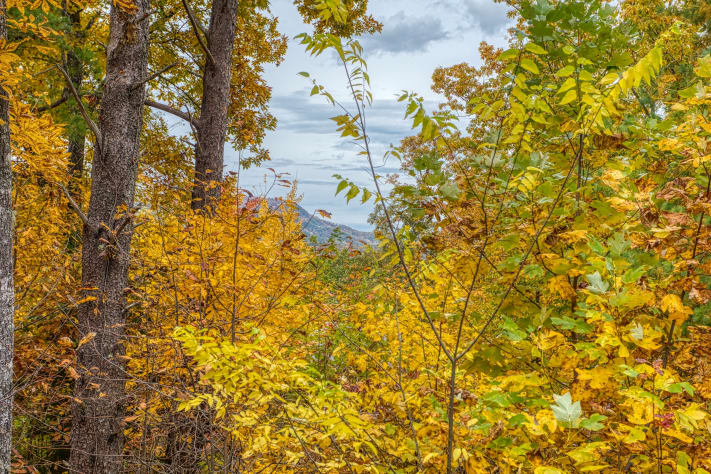Pigeon Forge, Tennessee Cabin Rental - Gallery Image #12