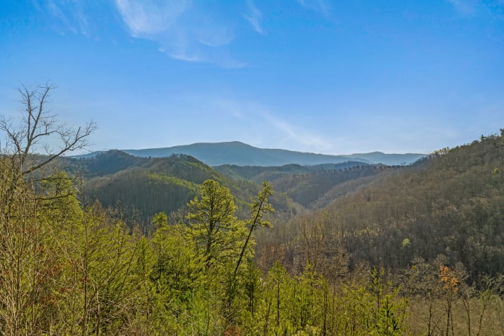 Pigeon Forge, Tennessee Cabin Rental - Gallery Image #4