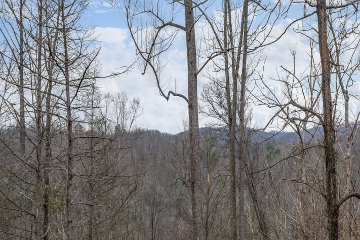 Gatlinburg, Tennessee Cabin Rental - Gallery Image #8
