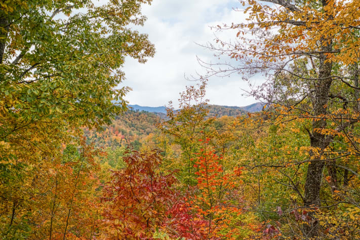 Pigeon Forge, Tennessee Cabin Rental - Gallery Image #14