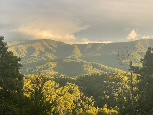Gatlinburg, Tennessee Cabin Rental - Gallery Image #15