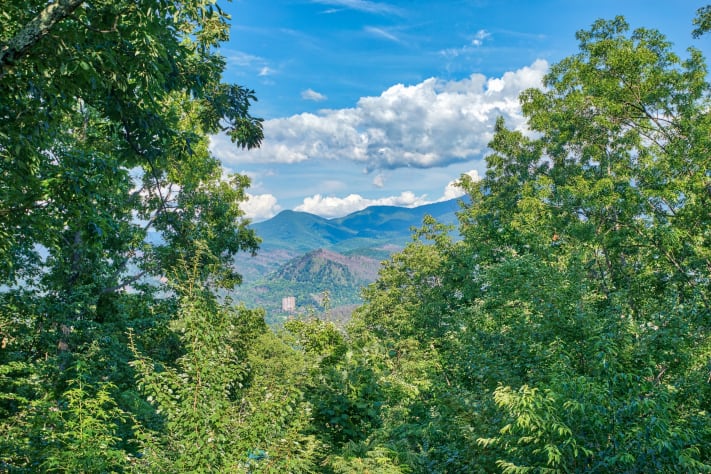 Gatlinburg, Tennessee Lodge Rental - Gallery Image #8