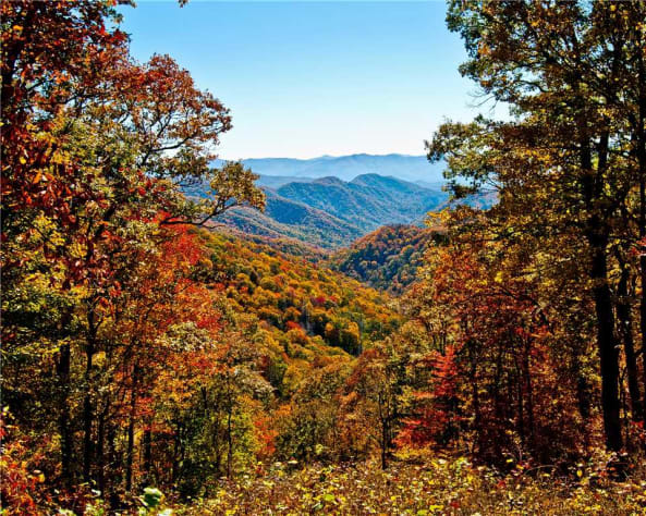 Gatlinburg, Tennessee Cabin Rental - Gallery Image #19