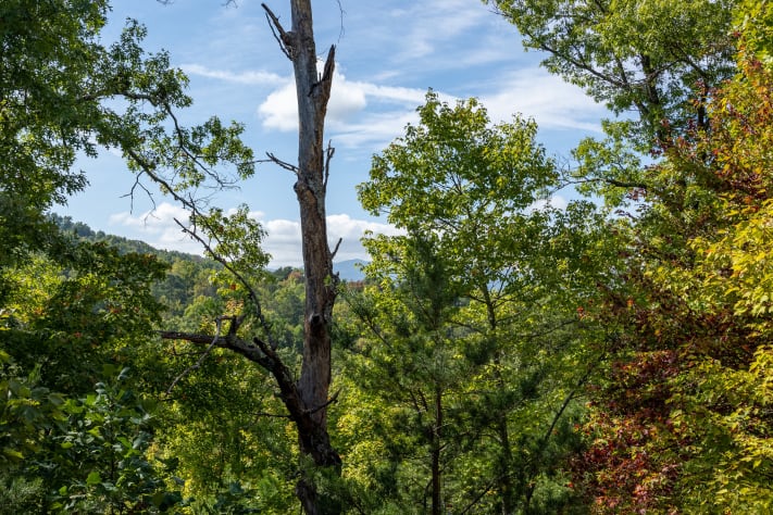 Gatlinburg, Tennessee Cabin Rental - Gallery Image #18