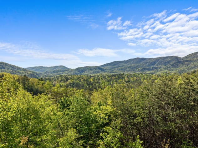 Pigeon Forge, Tennessee Cabin Rental - Gallery Image #11